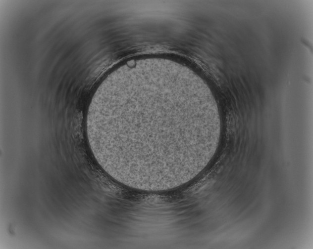 X0000095121265200801041215