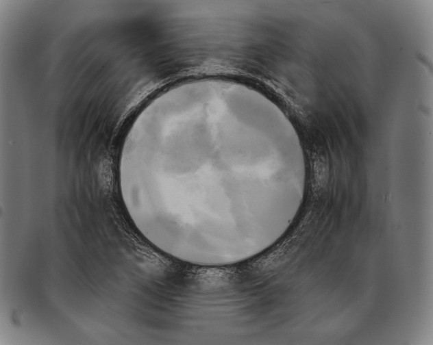 X0000095121266200801041215