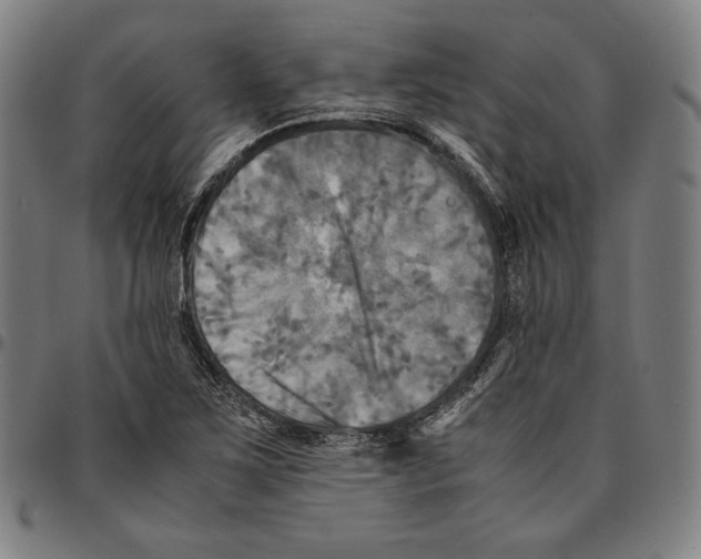 X0000095121267200801041215