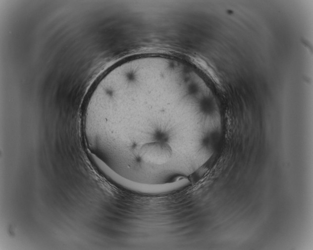 X0000095121268200801041215