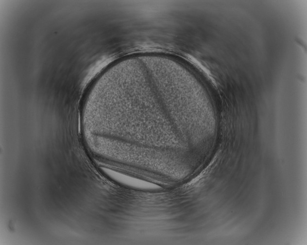 X0000095121269200801041215