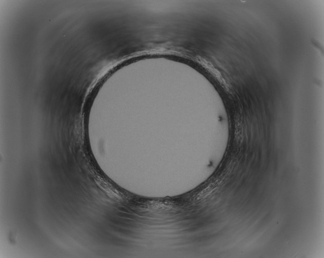 X0000095121270200801041215