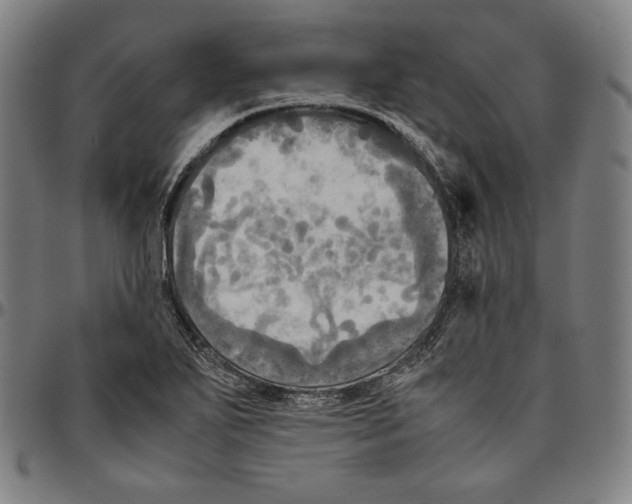 X0000095121271200801041215