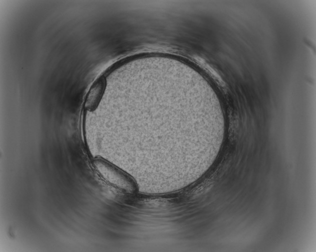 X0000095121272200801041215