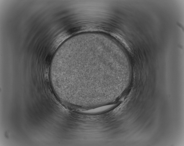 X0000095121273200801041215