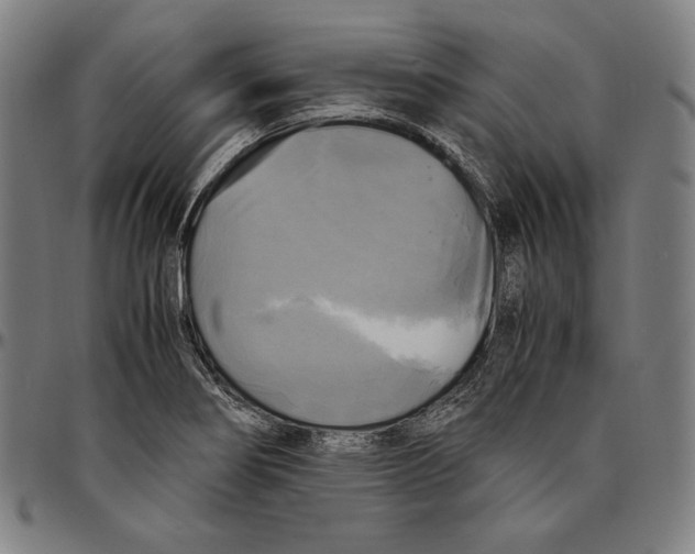 X0000095121274200801041215