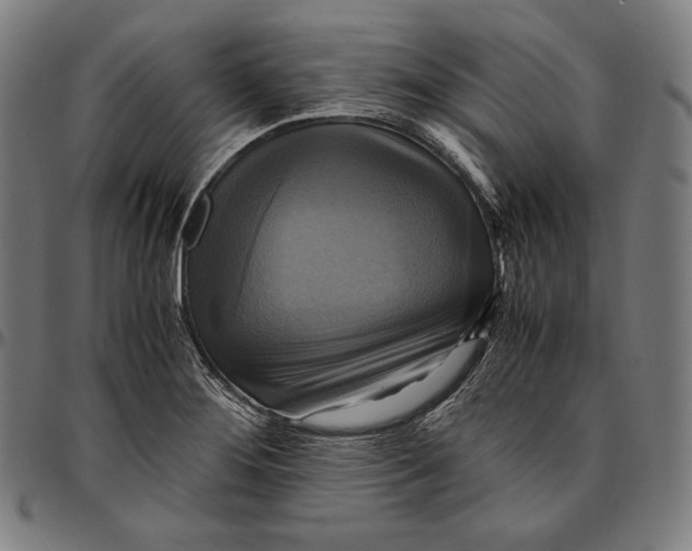 X0000095121276200801041215