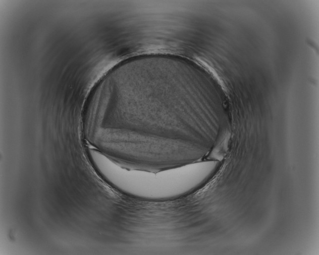 X0000095121277200801041215