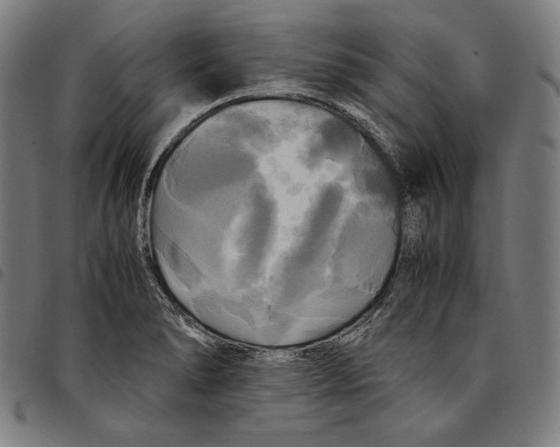 X0000095121278200801041215