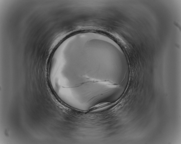 X0000095121279200801041215