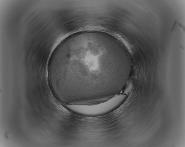 X0000095121280200801041215