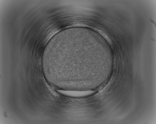 X0000095121281200801041215