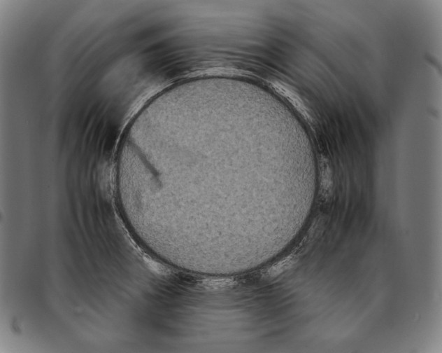 X0000095121282200801041215