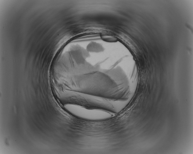 X0000095121283200801041215