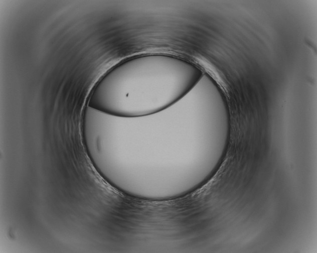 X0000095121284200801041215