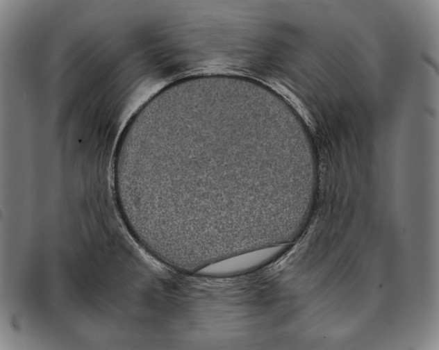 X0000095121285200801041215