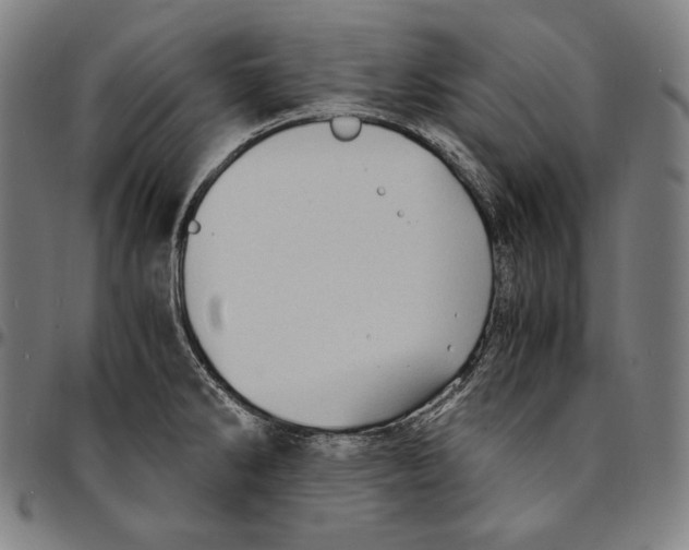 X0000095121286200801041215