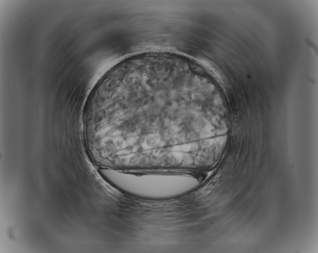 X0000095121287200801041215