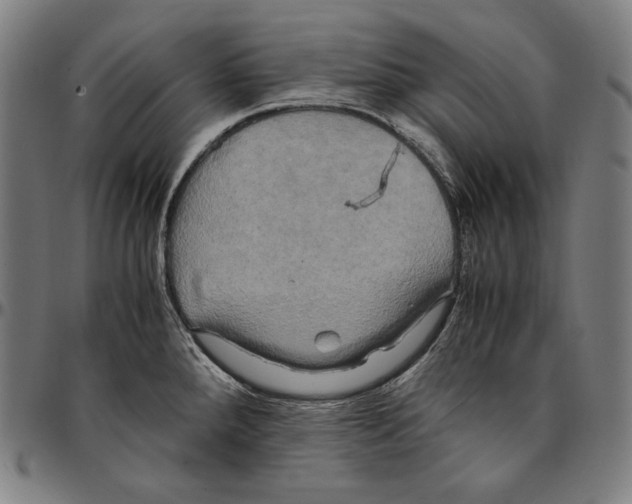 X0000095121288200801041215