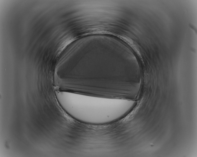 X0000095121289200801041215