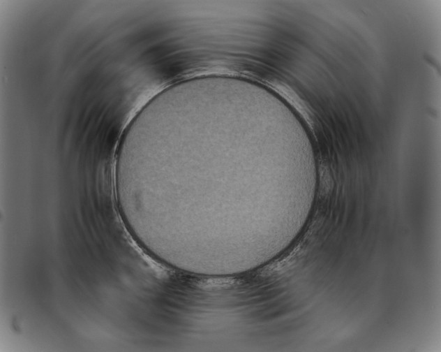 X0000095121290200801041215