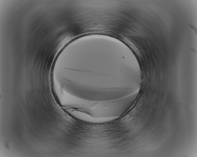 X0000095121291200801041215