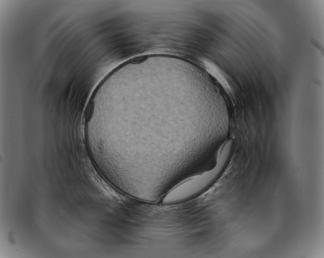 X0000095121292200801041215