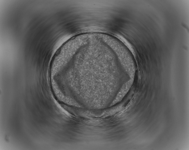 X0000095121293200801041215