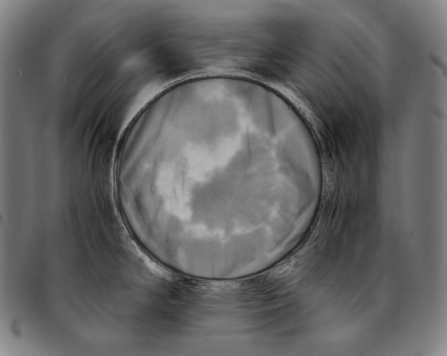 X0000095121294200801041214