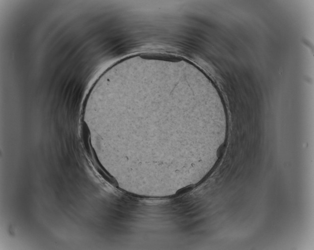 X0000095121296200801041214