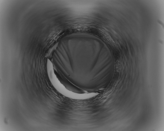 X0000095121298200801041214