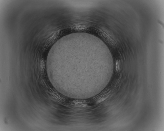 X0000095121299200801041214