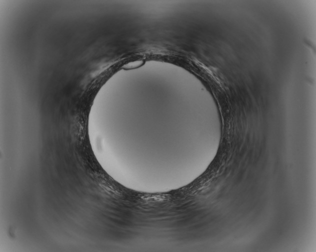 X0000095121303200801041214