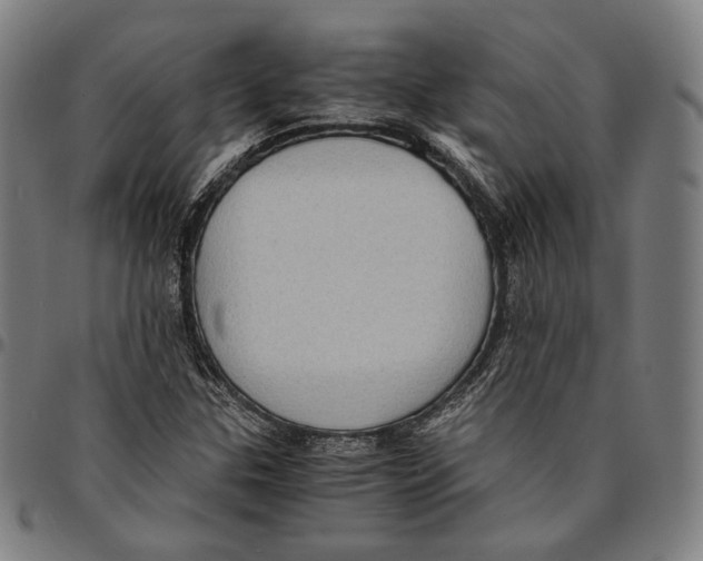 X0000095121307200801041214