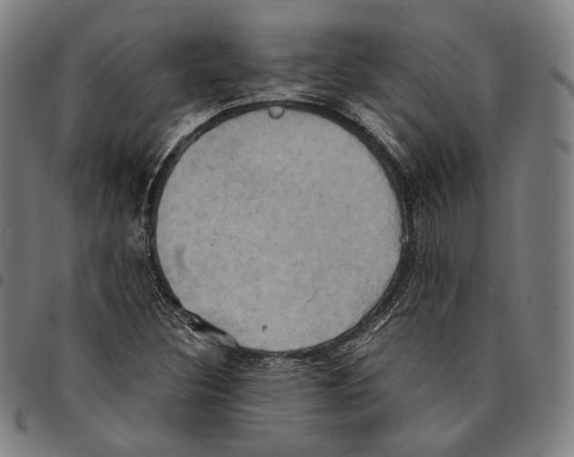 X0000095121308200801041214