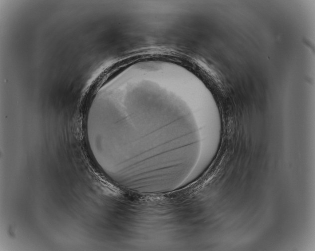 X0000095121310200801041214