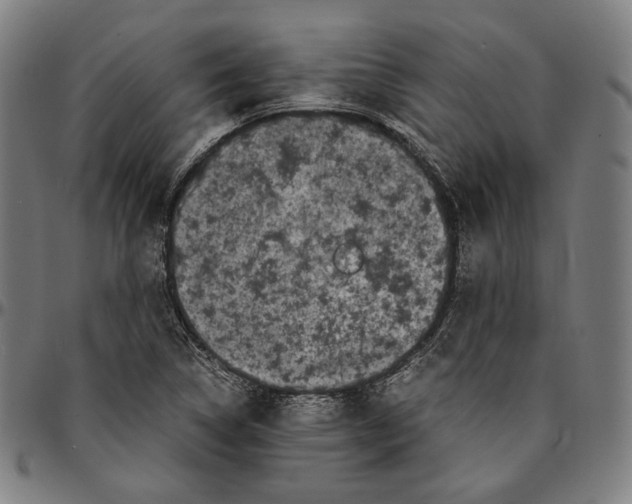 X0000095121314200801041214