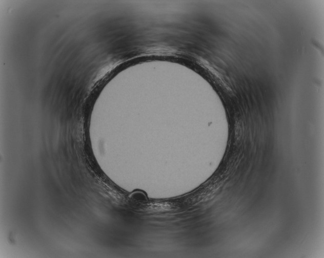 X0000095121315200801041214