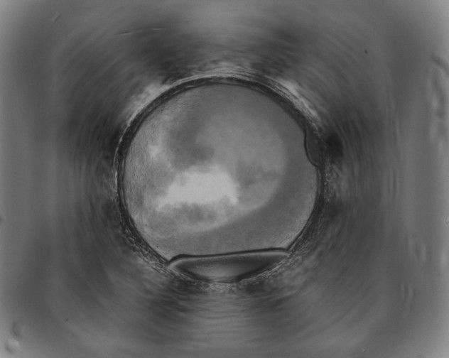 X0000095121316200801041214