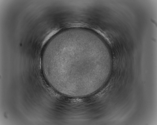 X0000095121317200801041214