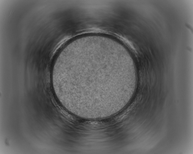 X0000095121318200801041214