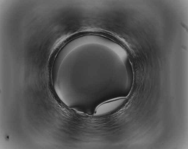 X0000095121319200801041214