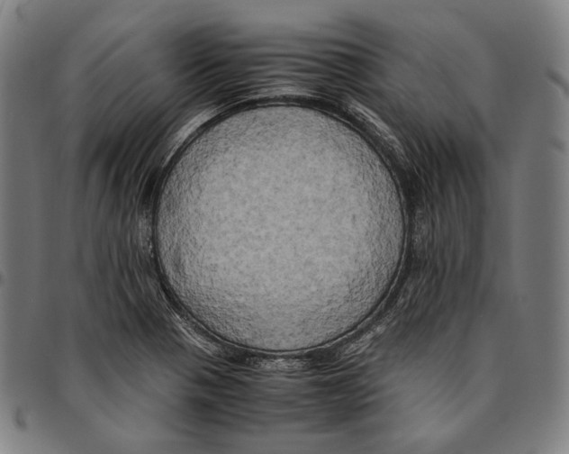 X0000095121321200801041214