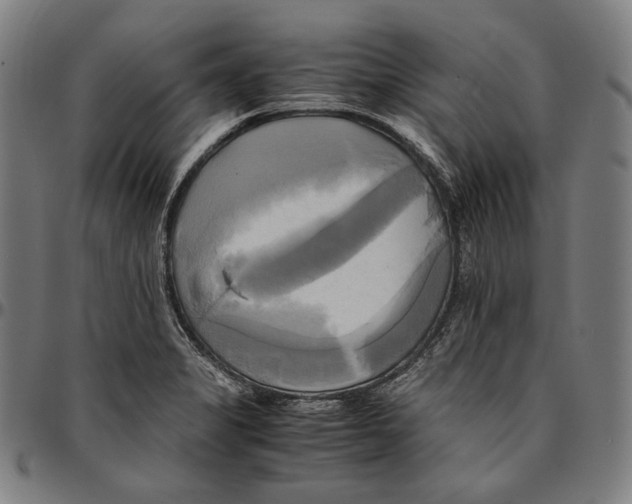 X0000095121325200801041214