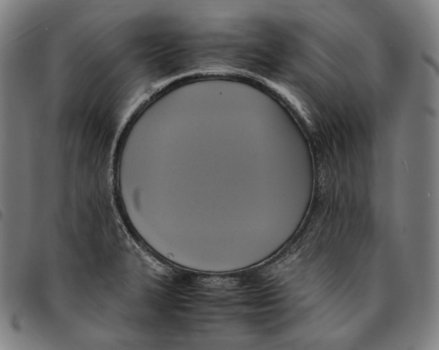 X0000095121327200801041214