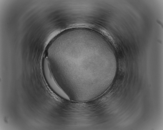 X0000095121328200801041214