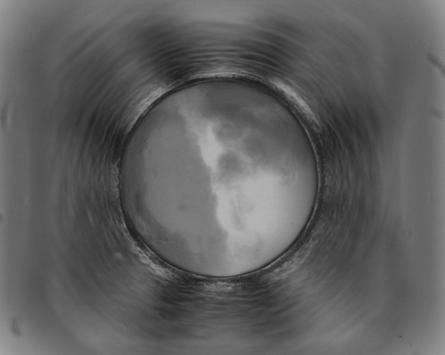 X0000095121329200801041214