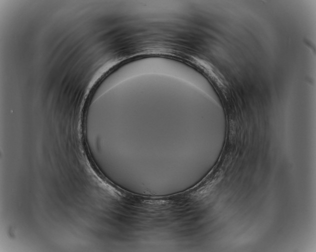 X0000095121331200801041214