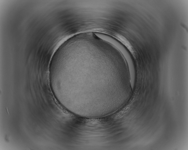 X0000095121332200801041214