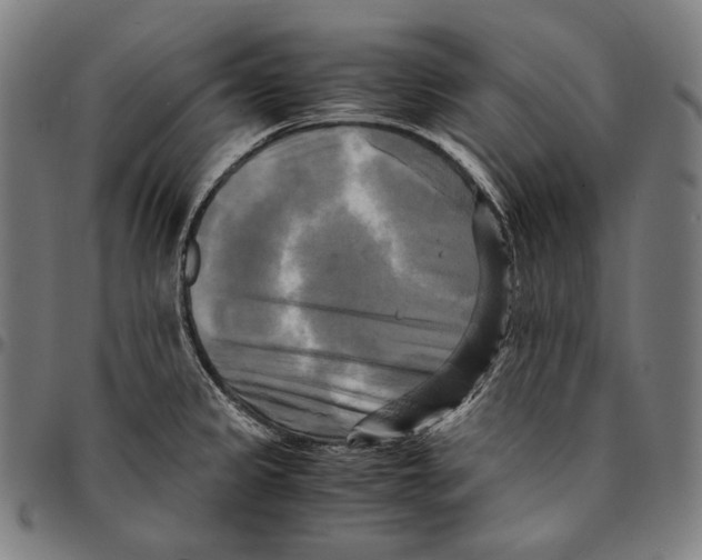 X0000095121333200801041214